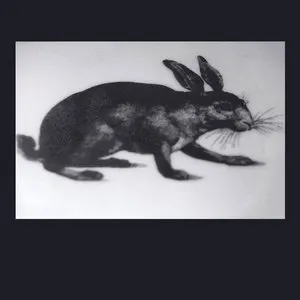 Pochette de Hares & Bells de Yannick Dauby