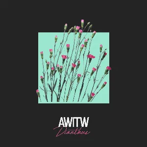 Pochette de Dianthus de AWITW