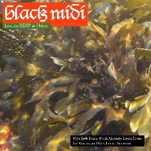 Pochette de Live on KEXP at Home de black midi