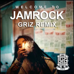 Pochette de Welcome to Jamrock (GRiZ remix) de GRiZ