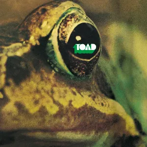 Pochette Toad