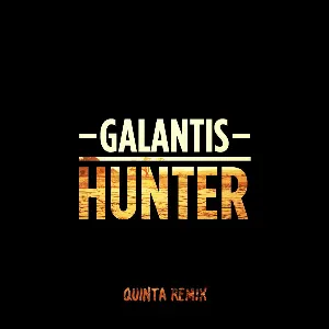 Pochette Hunter (Quinta Remix)