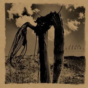 Pochette de Function Collapse de Fear Falls Burning