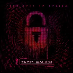 Pochette de CHASING THE HIGH de From Fall to Spring