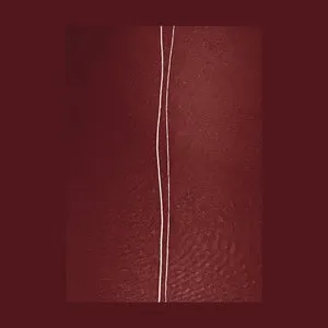 Pochette de Howdy Maestro de Marc Hasselbalch