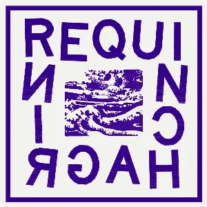Pochette de REQUINCHAGRIN de Requin Chagrin