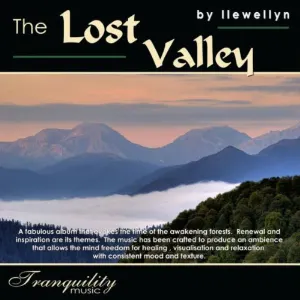 Pochette The Lost Valley