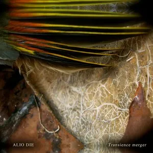 Pochette de Transience Merger de Alio Die