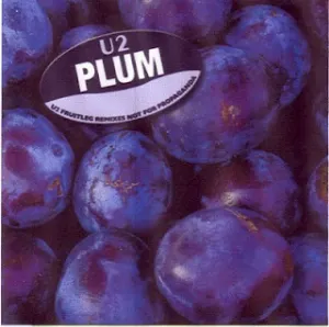 Pochette Plum: U2 Fruitleg Remixes Not for Propaganda
