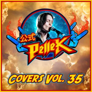 Pochette de Covers, Vol. 35 de PelleK
