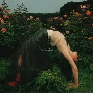 Pochette de try this shoot de globe