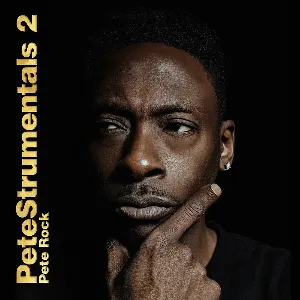 Pochette de PeteStrumentals 2 de Pete Rock