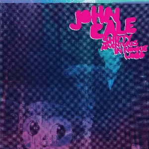 Pochette de Shifty Adventures in Nookie Wood de John Cale