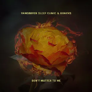 Pochette de Don't Matter to Me de Vancouver Sleep Clinic