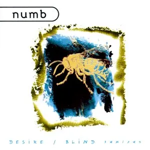 Pochette de Desire / Blind Remixes de Numb