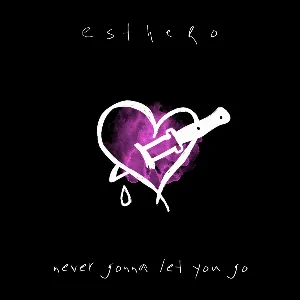 Pochette de Never Gonna Let You Go de Esthero