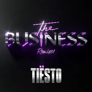 Pochette The Business (remixes)