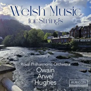 Pochette de Welsh Music for Strings de Royal Philharmonic Orchestra - Owain Arwel Hughes