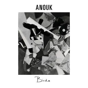 Pochette de Birds de Anouk