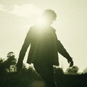 Pochette de Rising Sun de Eagle‐Eye Cherry