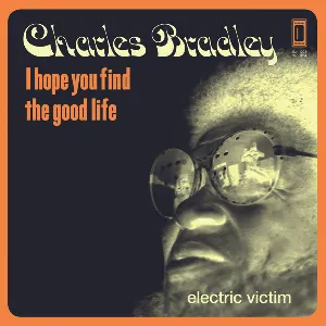 Pochette I Hope You Find the Good Life / Electric Victim