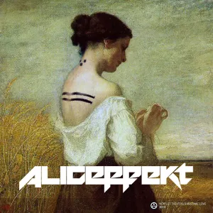 Pochette de Nor Let the Fools Mistake Love de Aliceffekt