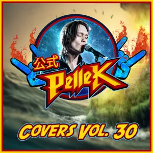 Pochette de Covers, Vol. 30 de PelleK