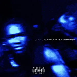 Pochette de START TO FiNiSH - S.T.F de IDK - DMX