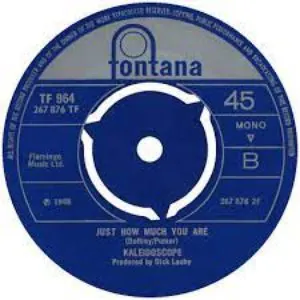 Pochette Jenny Artichoke / Just How Much You Are