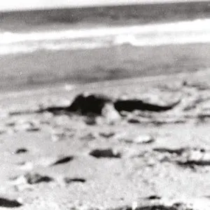 Pochette de Uma Estrela Misteriosa de Nando Reis