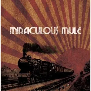 Pochette de Miraculous Mule de Miraculous Mule
