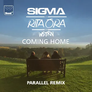 Pochette Coming Home (Parallel remix)