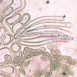 Pochette de Corrective Errors〜remix of 舟 de P-MODEL