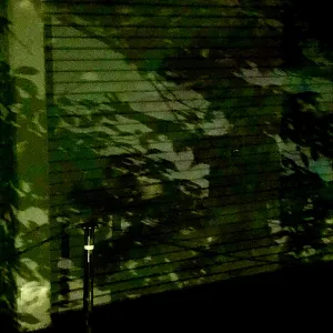 Pochette de 緑の虹の縁 (Anniversaries Few Light Source) de Ueda Takayasu