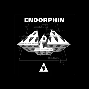 Pochette de SIN 2 de Endorphin
