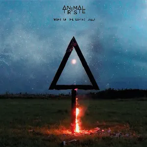 Pochette de Night of the Loving Dead de Animal Triste