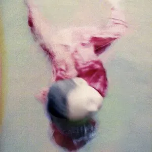 Pochette de Lucid Dreams de Chihei Hatakeyama