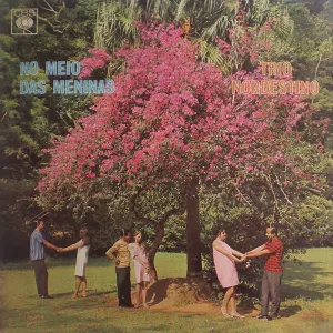 Pochette de No Meio das Meninas de Trio Nordestino