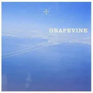 Pochette de 風の歌 de GRAPEVINE