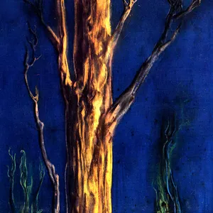 Pochette de Tamlin de Current 93