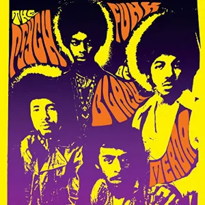 Pochette de The Psyche Funk of Black Merda de Black Merda