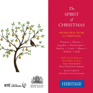 Pochette de The Spirit of Christmas de RTÉ Concert Orchestra