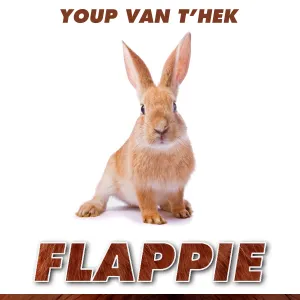 Pochette de Flappie de Youp van ’t Hek
