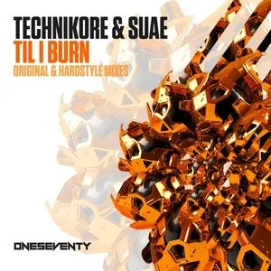 Pochette de Til I Burn de Technikore