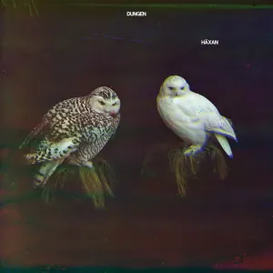 Pochette de Häxan de Dungen