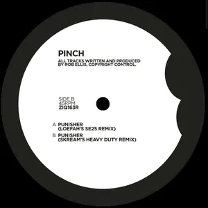 Pochette Punisher (Remixes)