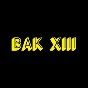Pochette de X de BAK XIII