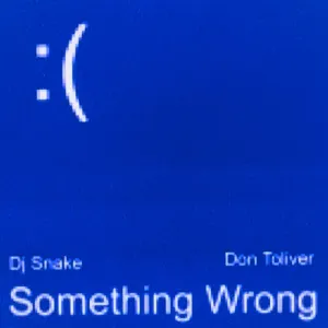 Pochette de Something Wrong de DJ Snake - Don Toliver