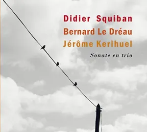 Pochette de Sonate En Trio de Didier Squiban