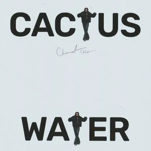 Pochette de Cactus Water de Channel Tres